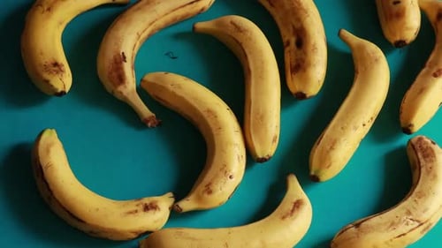 A macro shot of ripe yellow organic bananas rotating against a blue background.