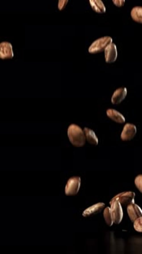 White Beans Fall on the Table Filmed on a Highspeed Camera at 1000 Fps