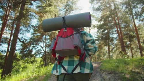 Asian Man Tourist Walking in Forest Camp