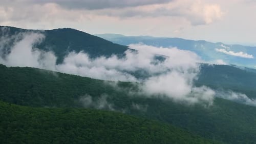 Beautiful Nature of North Carolina Appalachian Mountains USA Great Smokey Mountains in Summer Rain