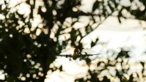 Airplane flying overhead in golden hour zoom shot