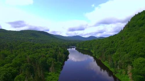 Nice Shot Of Naturel River