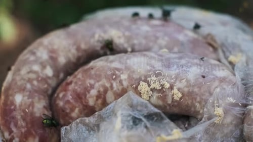 Des mouches grouillent de saucisses avariées