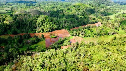 Vast territories of lush green tropical forests and some agricultural fields among them of Sri Lanka