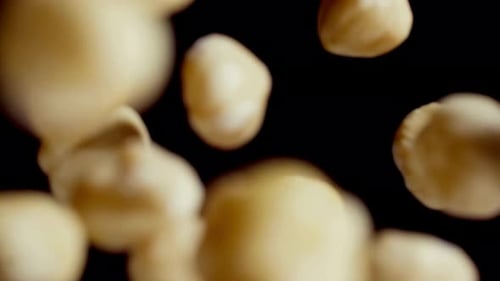 Hazelnuts