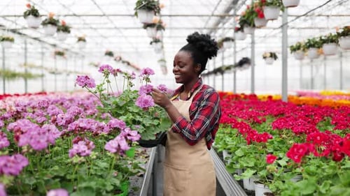 Smiling Woman Touches Flowers in Greenhouse