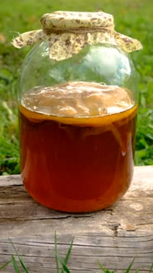 Kombucha dans un bocal à la maison | Selective Focus