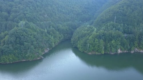 Calm and quiet morning on Lake Tarnita as the sun rises. Peaceful cove of lake with lush green fores