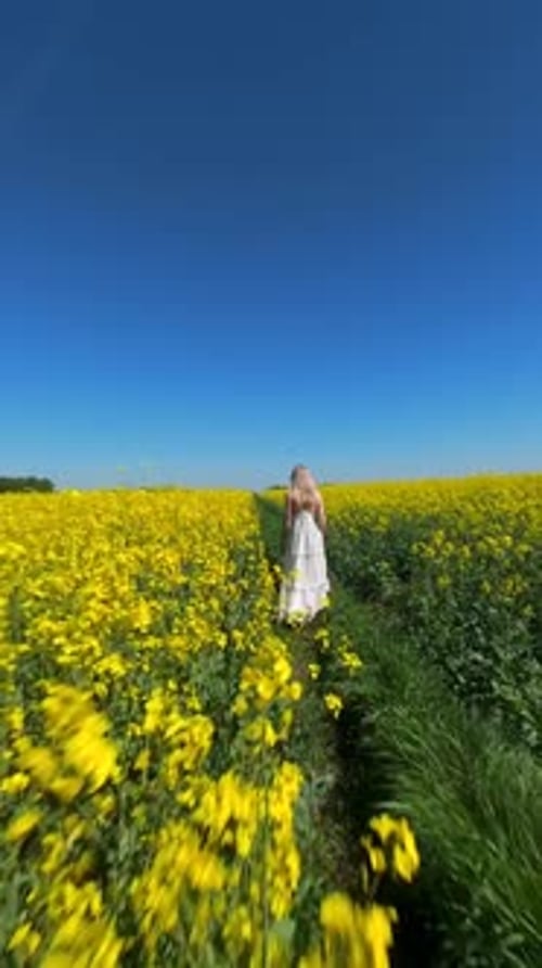 Woman Walking Through Blooming Yellow Rapeseed Field on Sunny Summer Day
