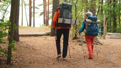 Hiking Tourism Adventure Senior Couple Man Woman Enjoying Outdoor Recreation Hiking in Forest Happy