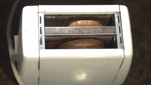 Toasting Bread in a White Toaster at Home