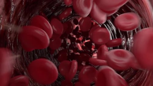 Red Blood Cells Streaming