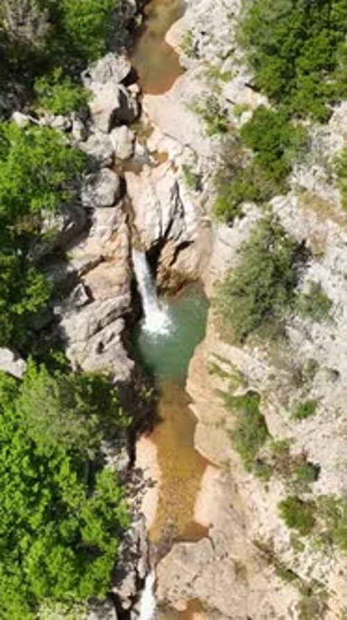 Vertical Video Quest for Adventure Travelers Explore the Green Forest on a Mountain Expedition