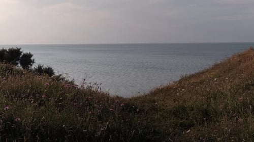 View of meadow with wide sea in the background
