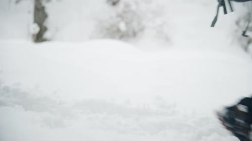 Person Walks in Snowy Forest with Hiking Poles