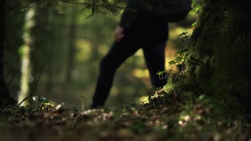 A silhouette walking in slowmotion in the woods behind a large tree with moss on it, with a colorful