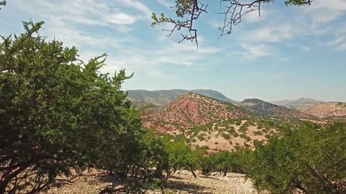 Mountains with Argan Trees in Natural Habitat Morocco