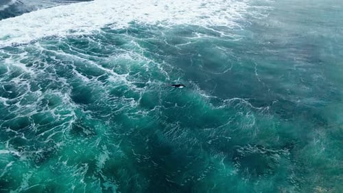 One Surfer Riding on Surf in Beautiful Ocean Waves Slow Motion