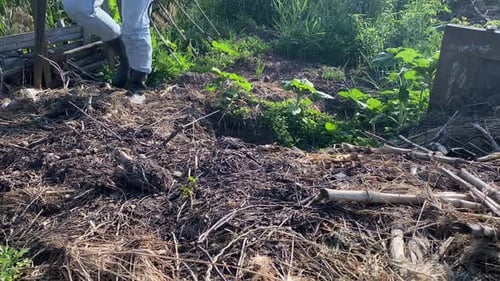 Gardener Using Pitchfork in Rural Garden