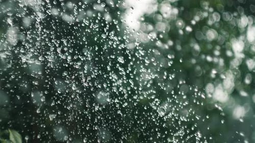 Água da fonte. Dolly atirou