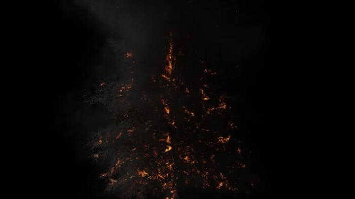 Realistic Burning Tree Animation with Intense Flames, Backgrounds ...