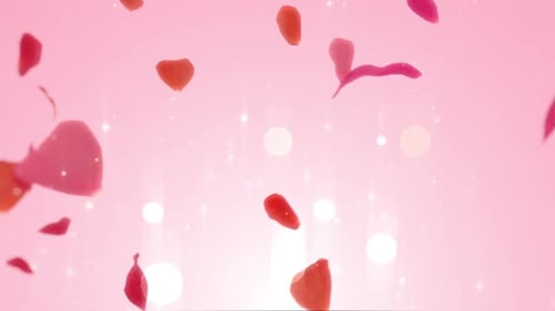 Blütenblätter, Rosen-Hintergrund