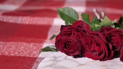 Red Roses on Bed in Romantic Valentines Day