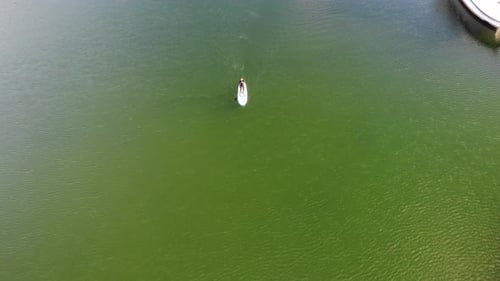 SUP boarder paddling on green water passing boat drone footage