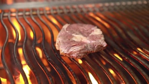 chef cook delicious meat in restaurant