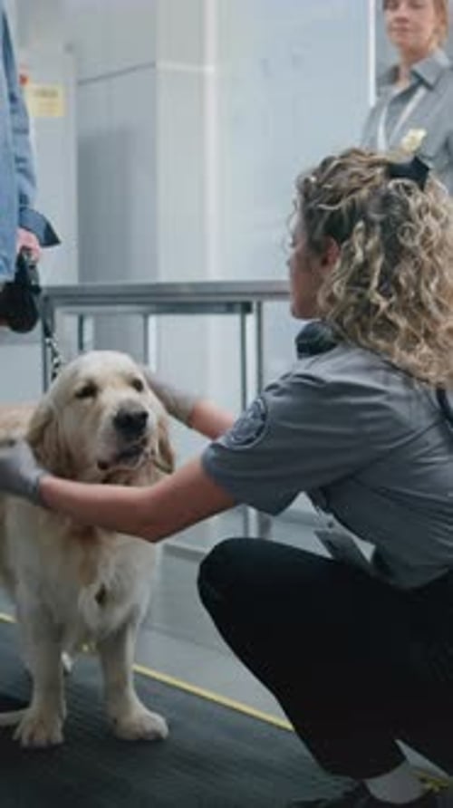Mature Man with Pet During Screening Procedure in Airport Terminal