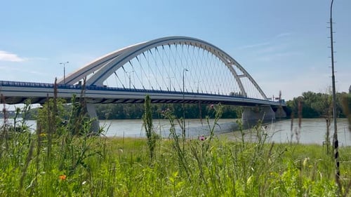Ein sonniger Tag in einem modernen Park mit frisch gepflanzten Bäumen, leuchtendem grünem Gras und weißer Bogenbrücke