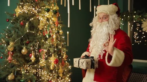Santa Claus Holding Gift Near Decorated Christmas Tree
