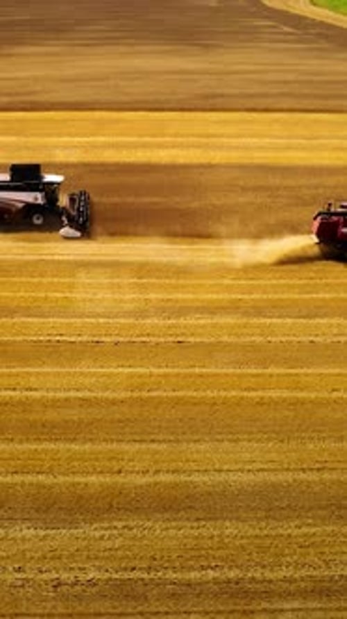 Harvesting Crops in a Vast Field with Multiple Machines in Action During Autumn Seasons