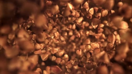 Buckwheat Falls Down Filmed From Above Filmed on a Highspeed Camera at 1000 Fps