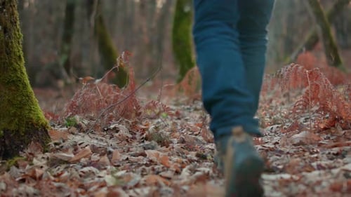 Hiker Boots Walking on Fallen Leaves in Autumn Forest Slow Motion