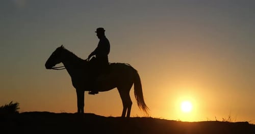Silhouetted Horseback Rider at Golden Sunset