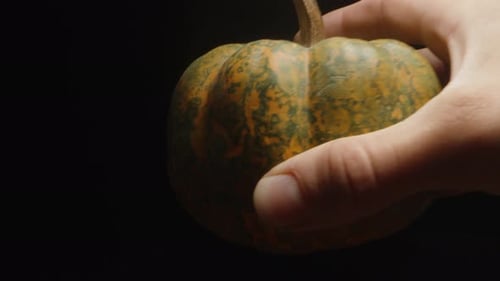 I put a small pumpkin with green dots on the table . Close-up on a black background.