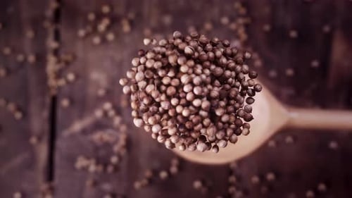 Vertical View Of Coriander Seeds
