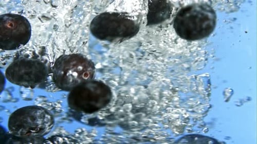 Fresh Blueberry Fall Swirl