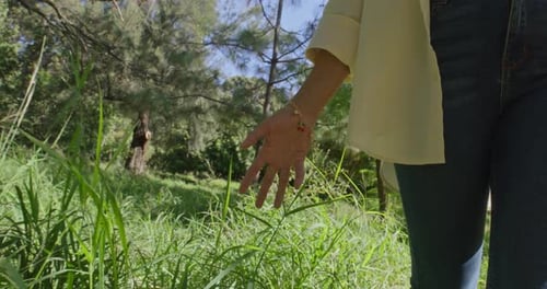 Close Up of Woman Hand Touching Tall Grass While Walking in Park