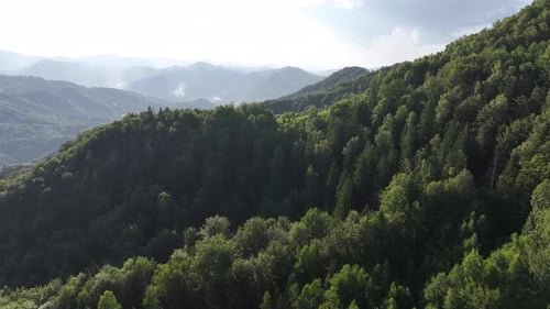Landscape of the Carpathian. Flight over the summer mountains with green meadows and forest.