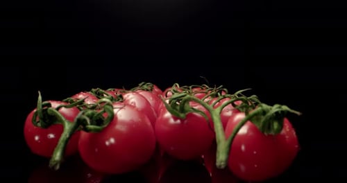 Juicy red cocktail tomatoes super close-up with dark background unique high resolution 4k shoot Glos