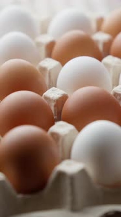Brown and White Eggs in Carton Box Rotating Chicken Eggs in Container