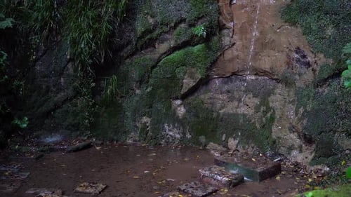 Slow tilt up to beautiful decorative dragon water fountain inside Japanese temple grounds