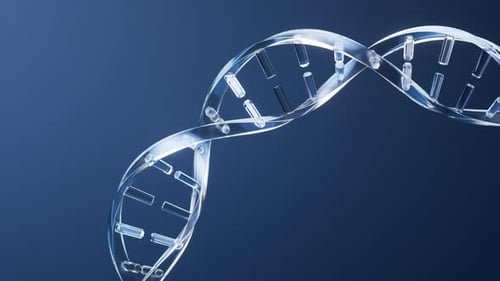 Animated Glass DNA Double Helix Rotation Loop