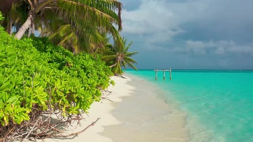 Paradise White Sand Beach Turquoise Ocean Green Palm Trees and Blue Sky with Clouds on a Sunny Day