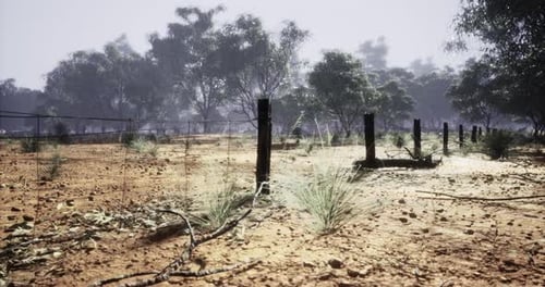 Dry Farmland Fence with Eucalyptus Trees Animated Background