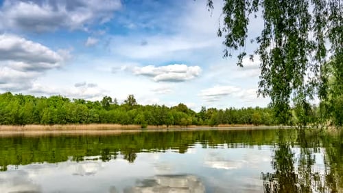 Calm lake in green city park.