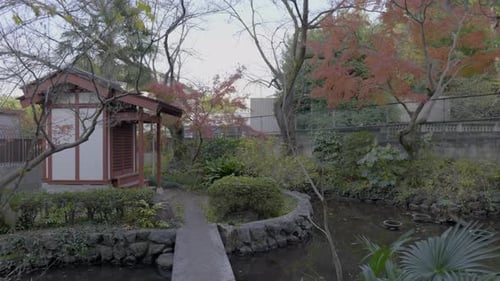 The entrances to temples in Japan have very detailed and precise gardening, wooden architecture and