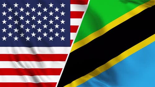 Usa And Tanzania Flag Loop